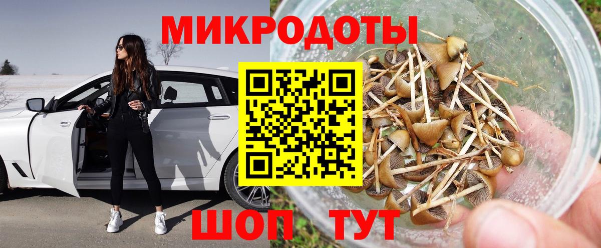 Псилоцибиновые грибы Psilocybe Арсеньев