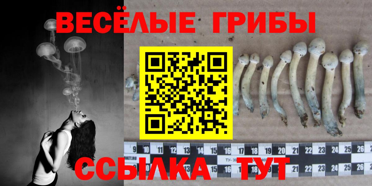 Галлюциногенные грибы мухоморы  Вход с VPN  Арсеньев 